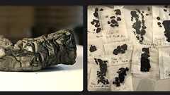 炭化したパピルス巻物内の単語をAIモデルで解読 「ベスビオ火山チャレンジ」で初の賞金