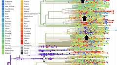 なぜ日本はまあまあ防疫できているのか(私的仮説まとめ)|ショーンKY