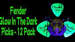 Fender 351 Shape ギターピックレビュー:Glow In The Dark 暗闇で輝くティアドロップ型 | ギターいじリストのおうち