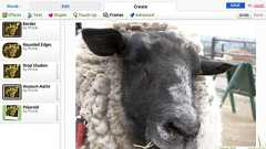 オンライン同期環境へ向けて「画像はFlickr&Picnikに決めた」