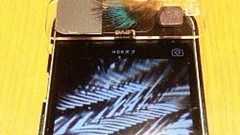 スマホ:顕微鏡に変身で人気 生理学研の永山名誉教授開発 | 毎日新聞