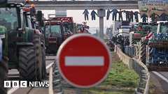 Why Europe's farmers are taking their anger to the streets