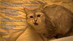 なぜ公式謝罪が謝っているように聞こえないかがわかる「謝罪の科学」