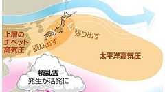 この夏、猛暑の覚悟を? 史上最も暑かった6年前と似る:朝日新聞デジタル