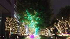 アメリカ人「クリスマスをカップルで過ごすのは日本だけ。普通は家族で過ごす」 : 痛いニュース(ノ∀`)