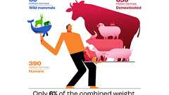 地球上の「野生哺乳類」と「人類」の総質量を比較したら圧倒的に人類の方が重かった! - ナゾロジー