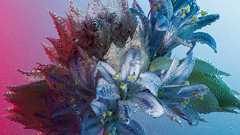 Best Photo Editing Software | Affinity Photo