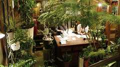 観葉植物いっぱいの、緑に囲まれた空間。「花好mokume」|おでかけコロカル 滋賀編