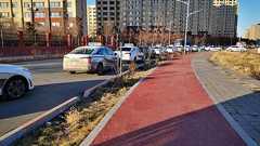 大雪でEVの性能低下、バッテリー交換所に長蛇の列―中国