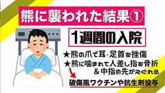 山で熊に襲われ、格闘の末に血だらけで逃走した方のレポが壮絶→熊鈴と山岳保険の重要性が本当に伝わってくる...