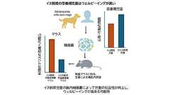 イヌを飼育する児童の幸福度の上昇には細菌叢の変化が関与 麻布大学などが検証