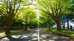 五輪マラソン工事費を北大が負担に「都民税で牛飼うぞ」怒りの声 - まぐまぐニュース!