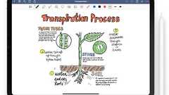 MacやiPhone/iPadに対応したデジタルノートアプリ「GoodNote 5」がアプリ内課金制になり、無料でダウンロード&ノート3冊を作成することが可能に。