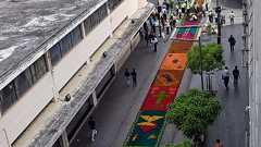 世界記録達成、全長2000メートル「おがくずカーペット」