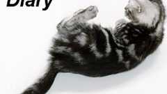 HIV差別がひどすぎて驚いた(前編) | へてくろ日記。