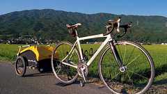 法的考察 | 日本チャイルドトレーラー&自転車トレーラー協会