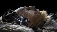 17世紀聖職者の棺に胎児の遺体 スウェーデン