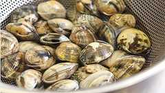 失敗しないあさりの砂抜き法はこれ!【鮮魚店直伝】簡単レシピ付き | 三越伊勢丹の食メディア | FOODIE(フーディー)