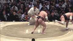 【動画】 優勝の白鵬に大ブーイング : 痛いニュース(ノ∀`)