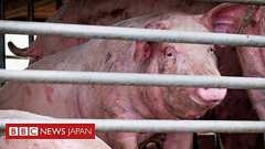 インフルエンザの新型、中国で発見 「世界的流行も」と科学者 - BBCニュース