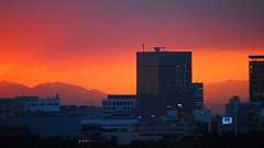 事態は深刻、下方向に広がる日本の格差 待ったなし!日本の貧困対策は経済対策そのもの | JBpress (ジェイビープレス)