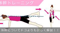 体幹トレーニングの方法や効果をどこよりも詳しく解説! | ダイエットなら美wise!