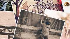 海外のハイクオリティなフリー写真素材サイト11選 | 株式会社LIG(リグ)|DX支援・システム開発・Web制作