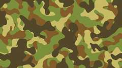 嫌われ者のゴキブリ、実は「軍用」として注目を浴びていた!優秀な 災害救助ロボットになる可能性 - ライブドアニュース