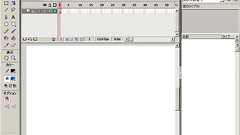 いまさら聞けない! FlashとActionScriptについて