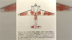 『海上で遭難したらイルカが押して岸まで送ってくれた』という話を聞く事もあるが、『沖に向かって突かれた人』の証言を我々は聞く事が出来ないのである