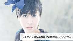 『picnic album 1』コトリンゴインタビュー | CINRA