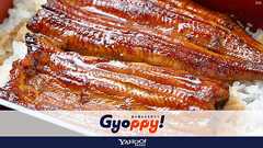 ウナギを食べ過ぎると絶滅するらしいけど、結局食べていいの? 専門家に聞く4つの質問 | サストモ - 知る、つながる、はじまる。