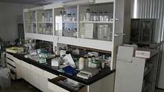 カビだらけの実験室、放置された薬品瓶…元研究所の「ヤバい廃墟」に潜入したら“闇”が深すぎた | 「怖い話」が読みたい | 文春オンライン