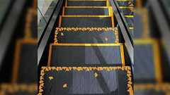 「デザインは誰のためにある?」で意見が真っ二つ→「銀杏のエスカレーター」「背景に溶け込んだ消火栓」はアリかナシか?