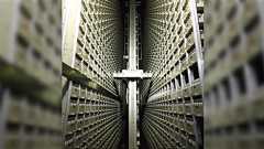 ニュージーランドで絶滅してしまった芋が、日本の『種子バンク』に保存されていて復活した「ノアの箱舟!?」