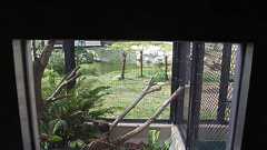 天然記念物はサバ缶が好き(デジタルリマスター)