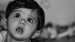 中国のオンライン小説界がすごいことになっている件について - ただの妄想