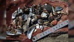 本当にウミガメはビニール袋を食べて死んでいるのか調べてみた。