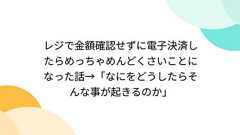 レジで金額確認せずに電子決済したらめっちゃめんどくさいことになった話→「なにをどうしたらそんな事が起きるのか」