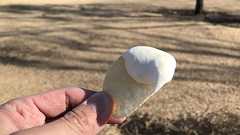 サワークリーム作ってサワークリーム味のポテトチップスに付けて食べる