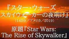 【ネタバレ考察】映画『スター・ウォーズ スカイウォーカーの夜明け』あらすじ・結末・感想。レイの親・祖父は誰?J・J・エイブラムスは忖度しすぎ