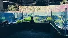 水族館で「イカのぬいぐるみが欲しい」と駄々をこねる息子さんをいなしていたら、突如職員さんが現れ怒涛のプレゼンを受ける→結果「買った」