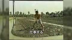 タイが出生率1割れになりそうなの、事実としては分かっていても衝撃で整理が追いつかない