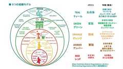 ティール組織とは?実務的視点から見る3要点と5過程