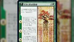 『Q. なぜ国語を勉強する必要があるんですか?うちら日本人だし日本語は普通にできるんですが?』……A. インターネッツを使ってみると、日本語の難しさが分かりますよ😊