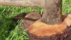 Google Readerから乗り換えを検討したいRSSリーダー一覧 - SEO Japan|アイオイクスのSEO・CV改善・Webサイト集客情報ブログ