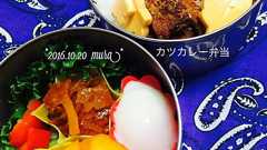 カツカレー弁当 🍛 - karutakko-muratanの日記