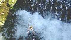 個人収蔵.com|トップページ