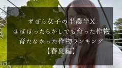 ずぼら女子による無肥料・無農薬・ほぼほったらかしでも育った作物、育たなかった作物ランキング【春夏編】
