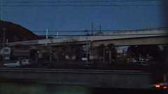 福島で電車に乗っていたらすごい音と揺れが来て緊急停車…原因はクマとの衝突と聞いて町中の出没で怖すぎ